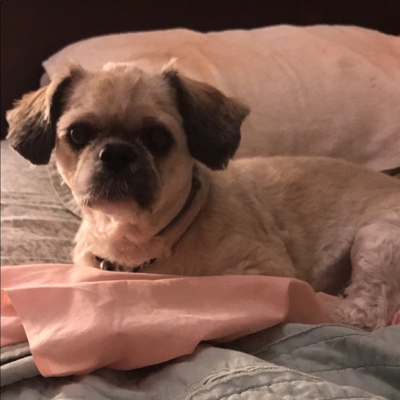 Meet your Posher, Jessica - Picture 13 of 13